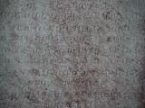 image of grave number 834742